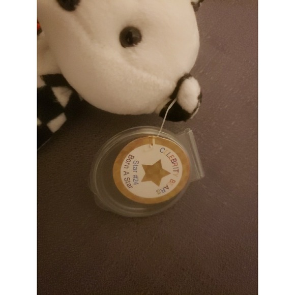 CELEBRITY BEAR Star 24 Jeff Gordon Nascar  Book Pin TEDDY Plush Bean Bag JC‎ Inc - Picture 3 of 6